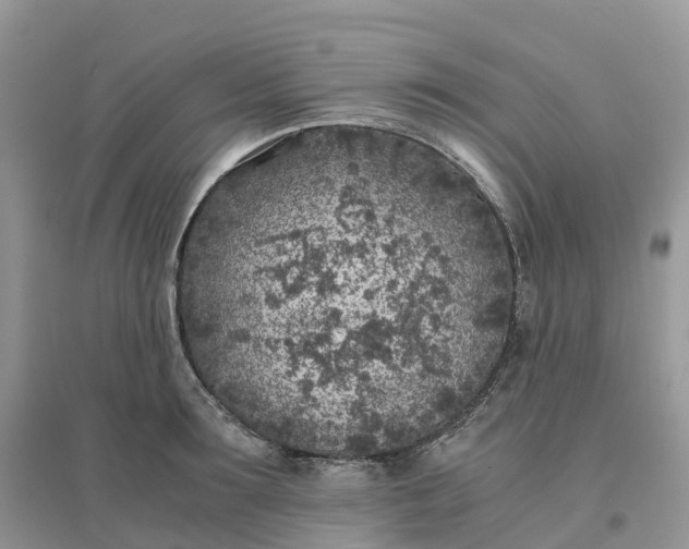 X0000096180899200802011339