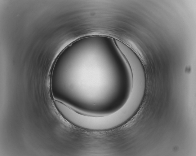 X0000096180900200802011339