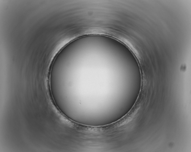 X0000096180901200802011339