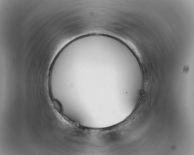 X0000096180903200802011339