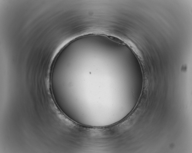X0000096180904200802011339