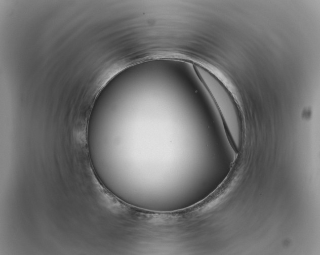 X0000096180905200802011339