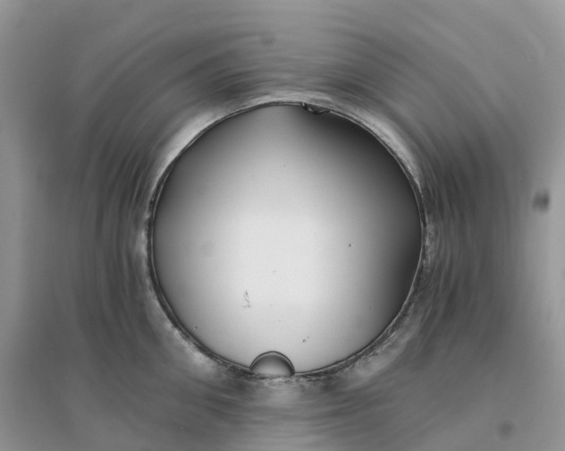 X0000096180906200802011339