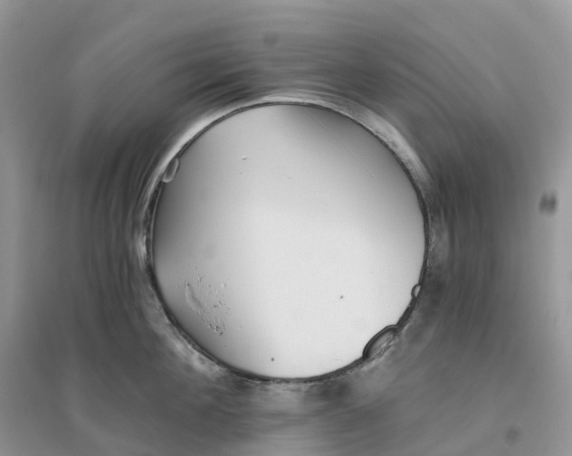 X0000096180908200802011339
