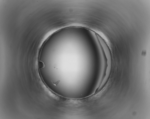 X0000096180910200802011339
