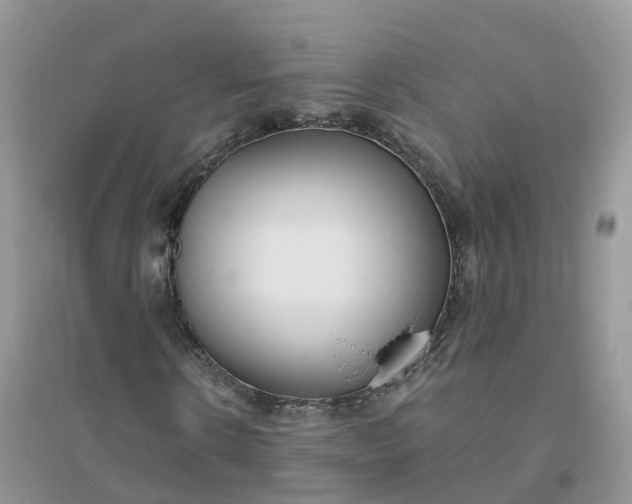 X0000096180914200802011338