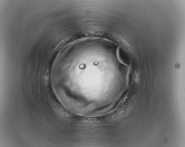 X0000096180915200802011338