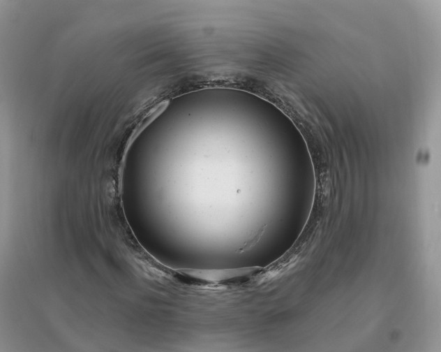 X0000096180916200802011338