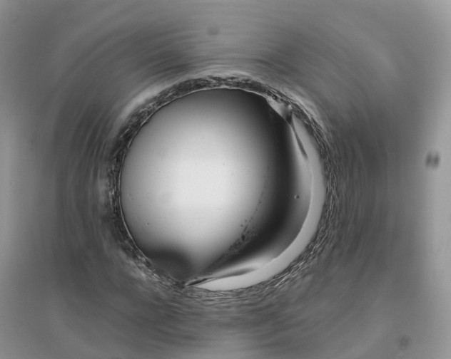 X0000096180920200802011338