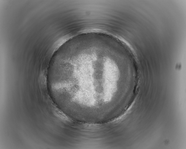 X0000096180921200802011338