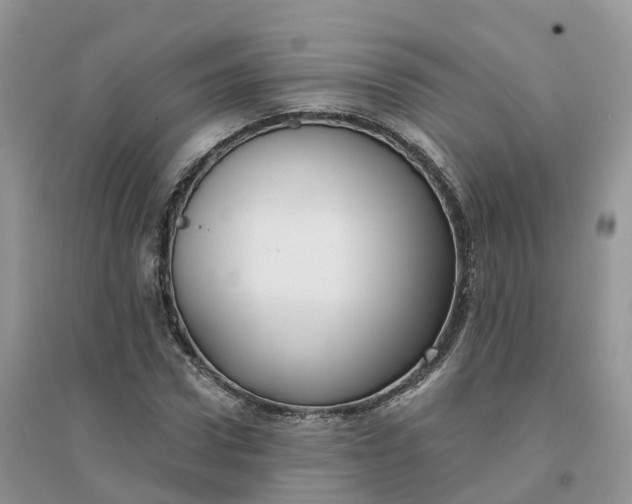 X0000096180922200802011338