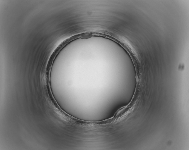X0000096180924200802011338