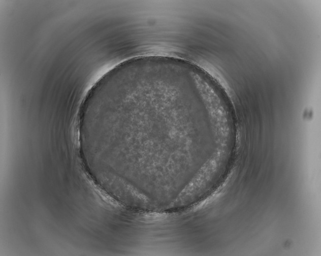 X0000096180925200802011338