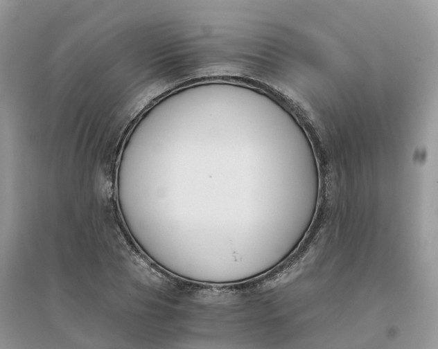 X0000096180929200802011338