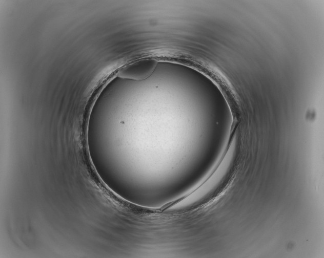 X0000096180930200802011338
