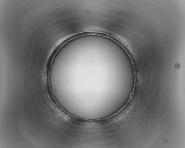 X0000096180931200802011339
