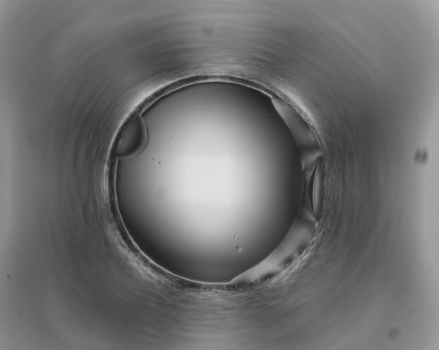 X0000096180932200802011339