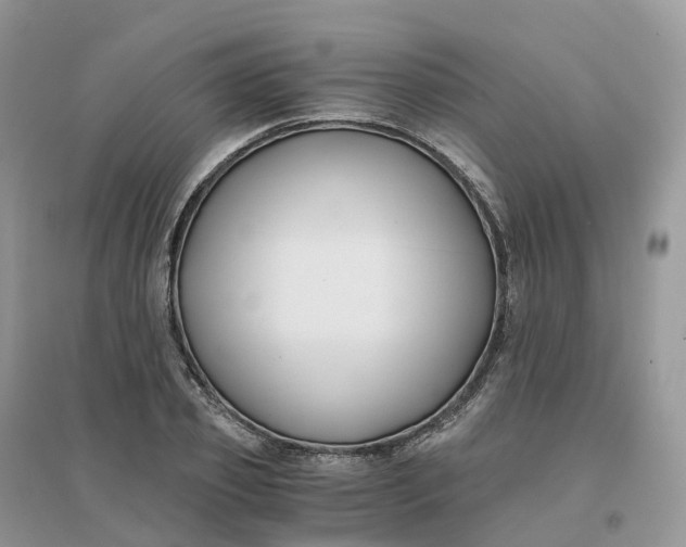X0000096180933200802011339