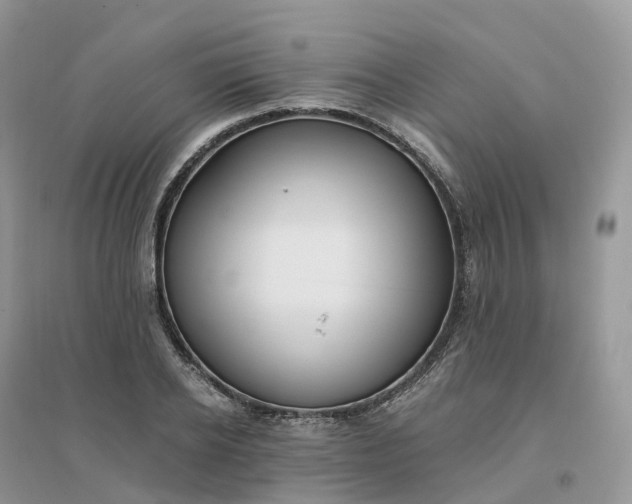 X0000096180934200802011339