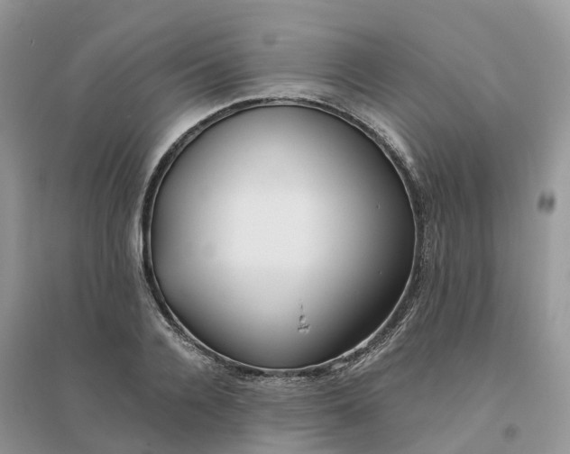 X0000096180936200802011339
