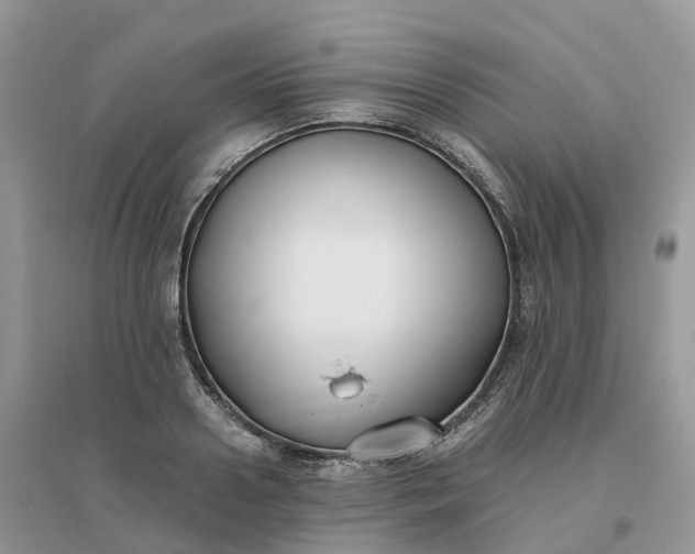 X0000096180938200802011339