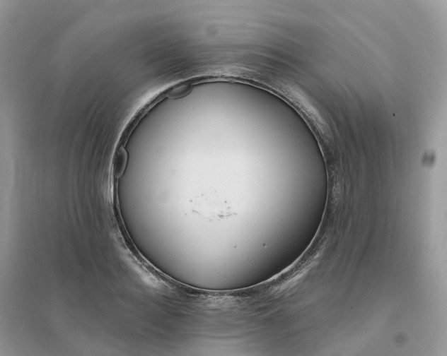 X0000096180940200802011339