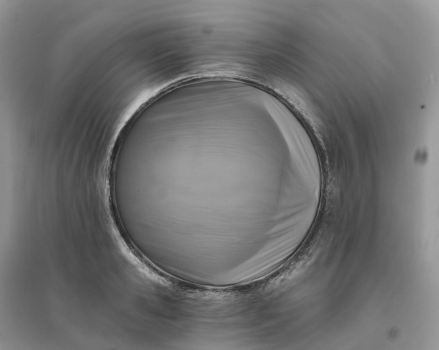 X0000096180941200802011339