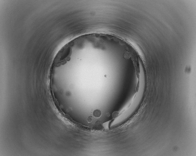 X0000096180944200802011339