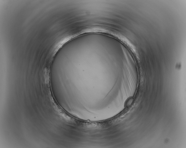 X0000096180945200802011339