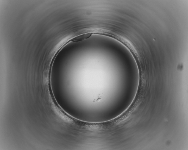 X0000096180946200802011339