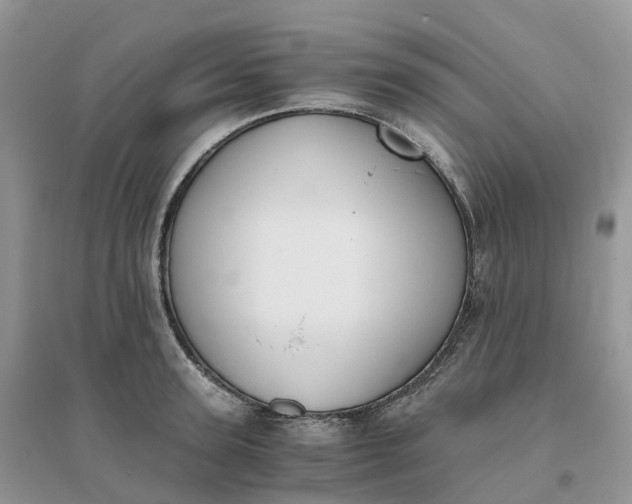 X0000096180947200802011339