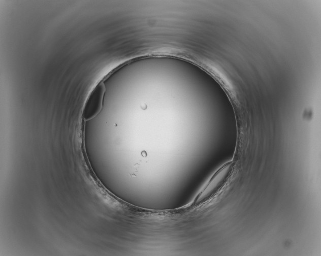 X0000096180948200802011339