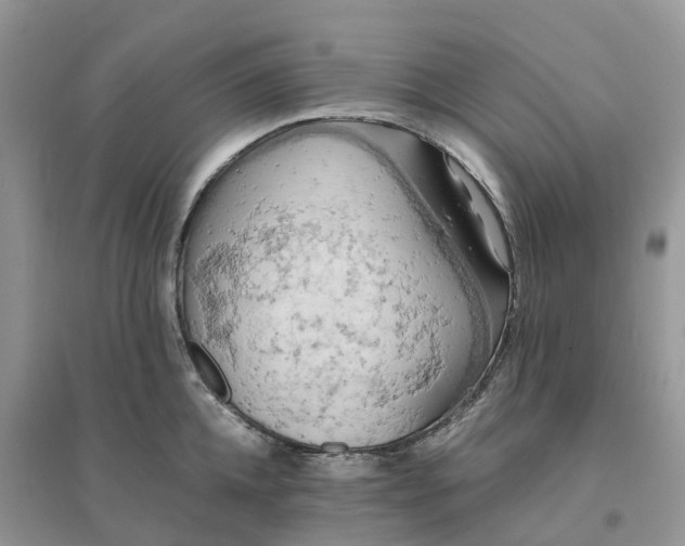 X0000096180952200802011339