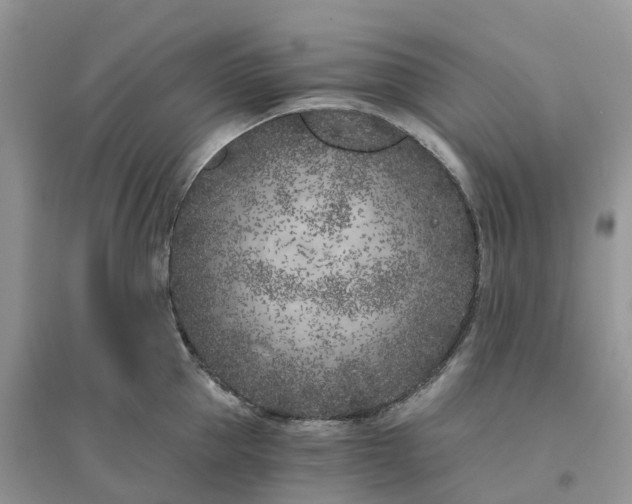 X0000096180953200802011339