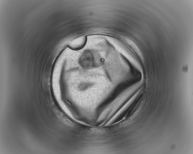 X0000096180954200802011339