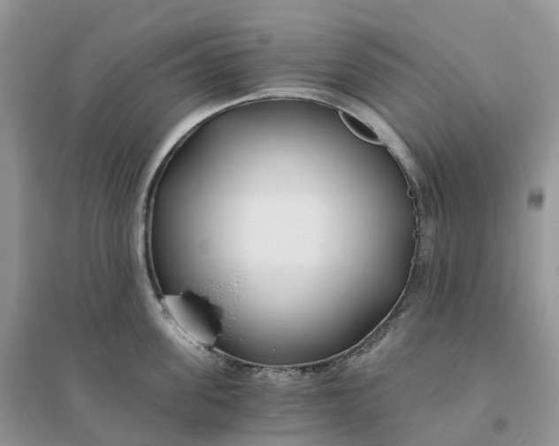 X0000096180955200802011339
