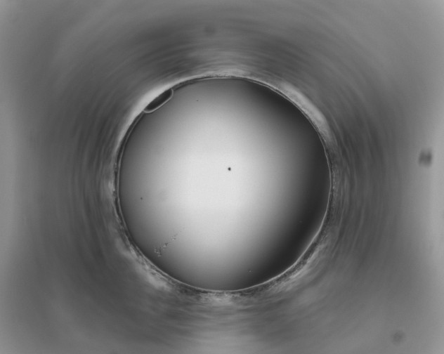 X0000096180956200802011339