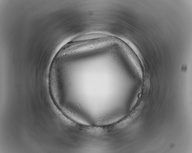 X0000096180957200802011339