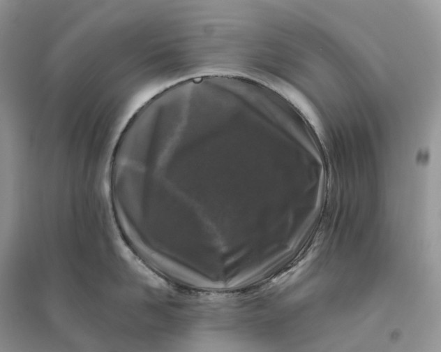 X0000096180958200802011339