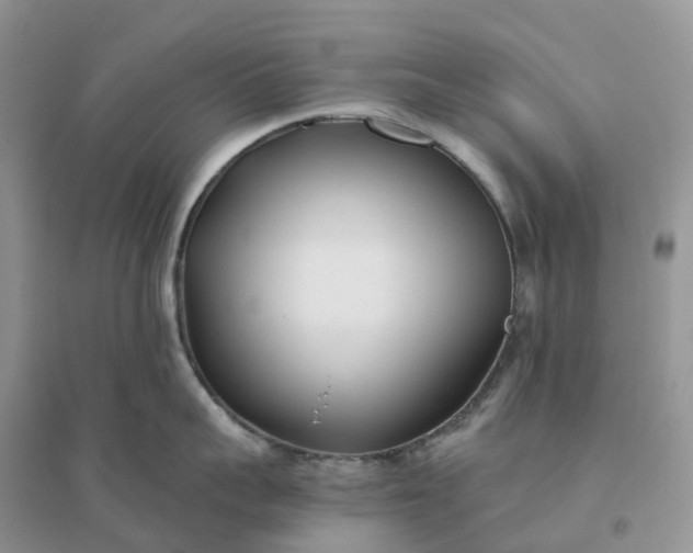X0000096180959200802011339