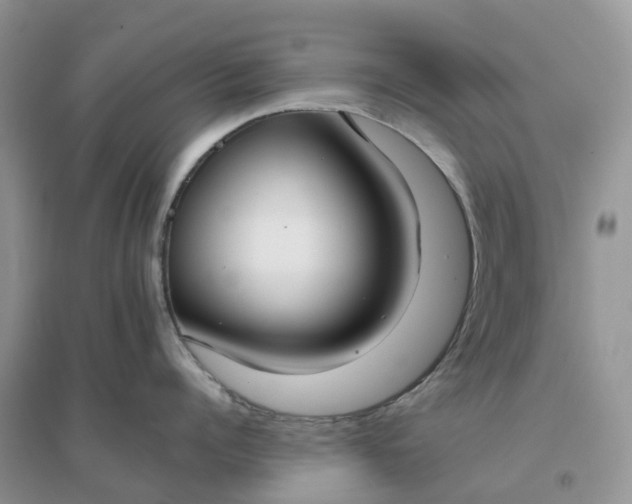 X0000096180960200802011339