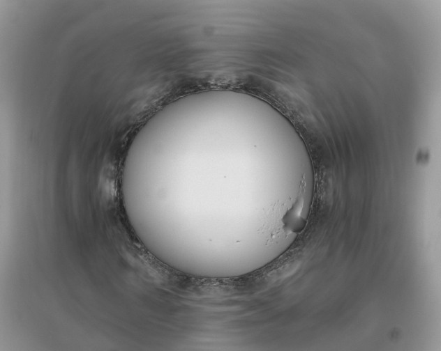 X0000096180962200802011338