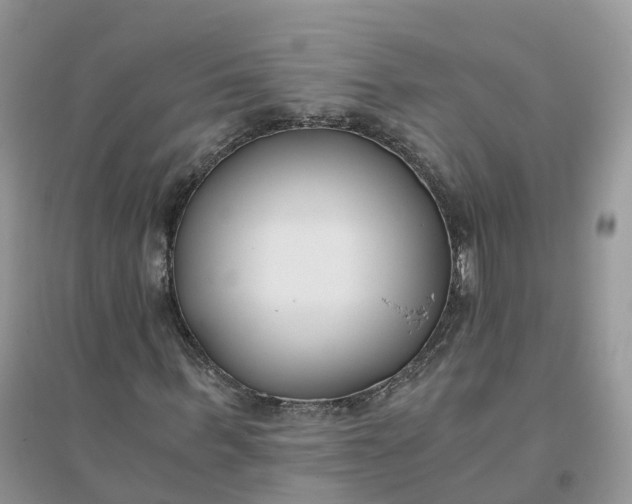 X0000096180963200802011338