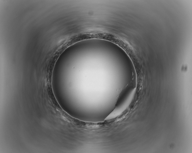 X0000096180965200802011338