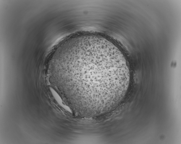 X0000096180968200802011338