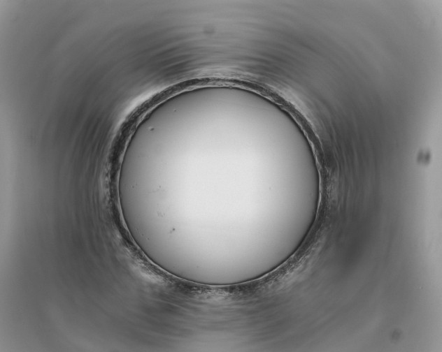 X0000096180971200802011338