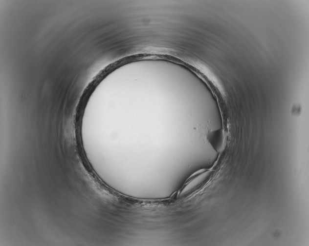 X0000096180972200802011338