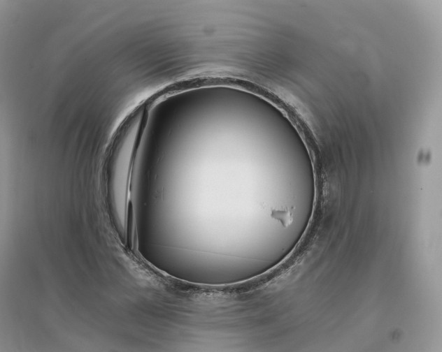 X0000096180973200802011338
