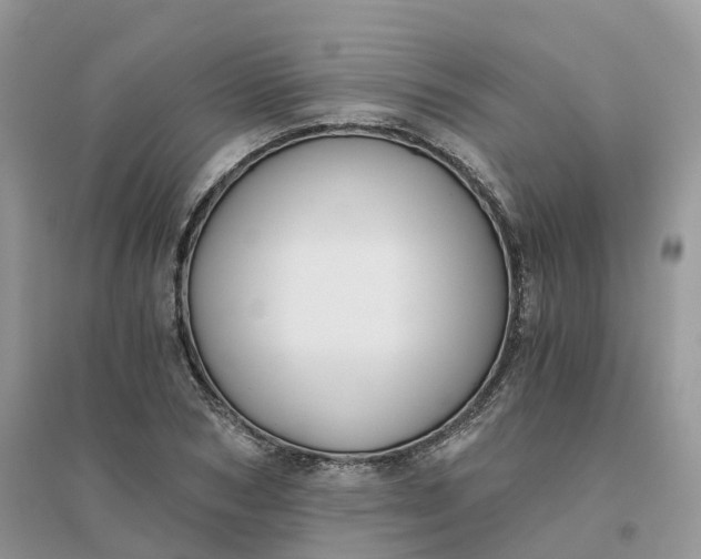 X0000096180978200802011338