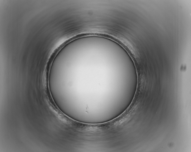 X0000096180982200802011338